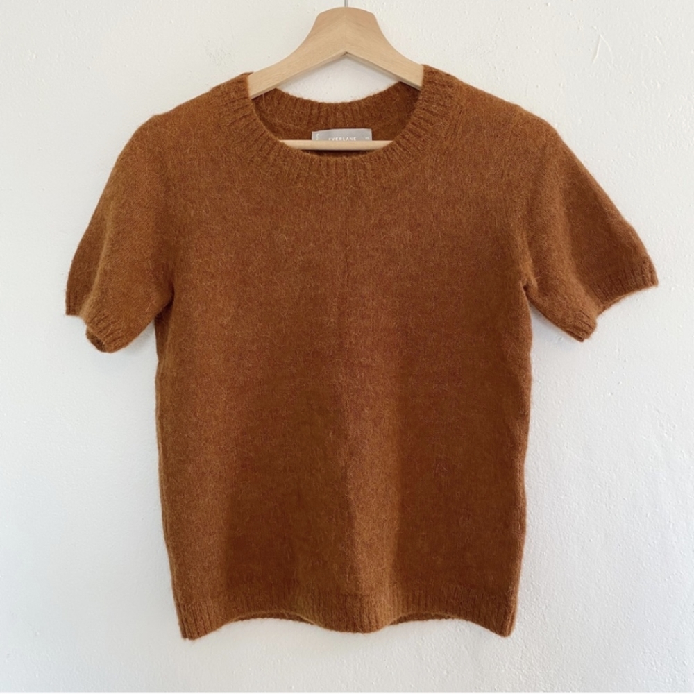 Everlane Alpaca Sweater Tee Burnt Orange Copper